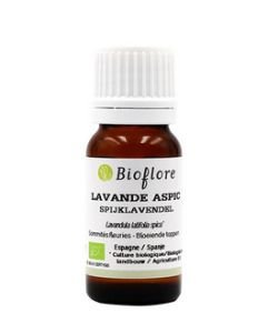 Spike lavender (Lavandula latifolia spica) BIO, 10 ml